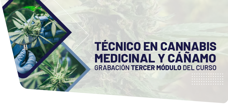 3ER MÓDULO - TÉCNICO EN CANNABIS MEDICINAL Y CÁÑAMO