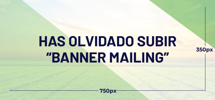Contexto de la certificación en año de transición Rainforest Alliance V 2020.