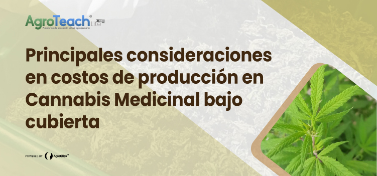 Principales consideraciones en costos de producción en Cannabis Medicinal bajo cubierta