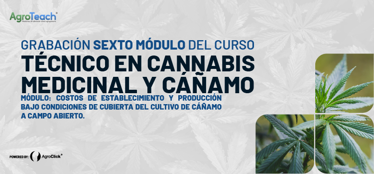 SEXTO MÓDULO: Costos de establecimiento y producción bajo condiciones de cubierta del cultivo de cáñamo a campo abierto