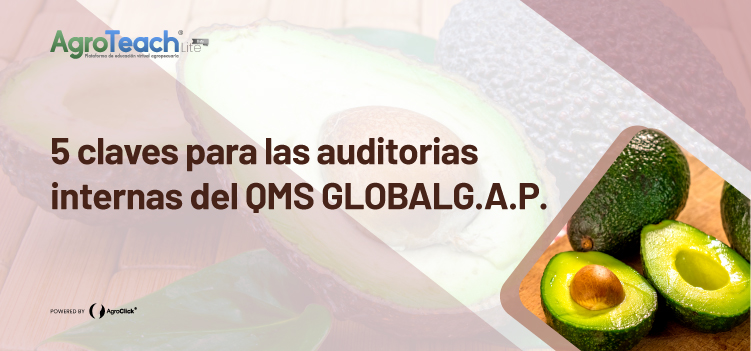 5 claves para las auditorias internas del QMS GLOBALG.A.P.