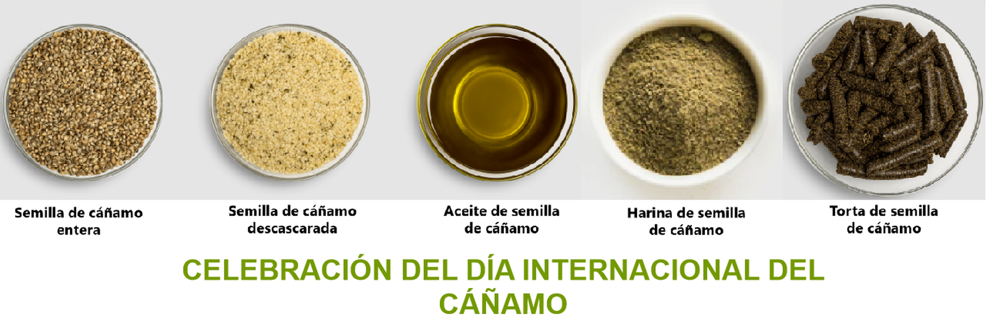 CELEBRACIÓN DEL DÍA INTERNACIONAL DEL CÁÑAMO