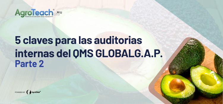 5 CLAVES PARA LAS AUDITORIAS INTERNAS DEL QMS GLOBALG.A.P. Parte 2