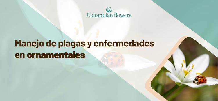 Manejo de plagas y enfermedades en ornamentales