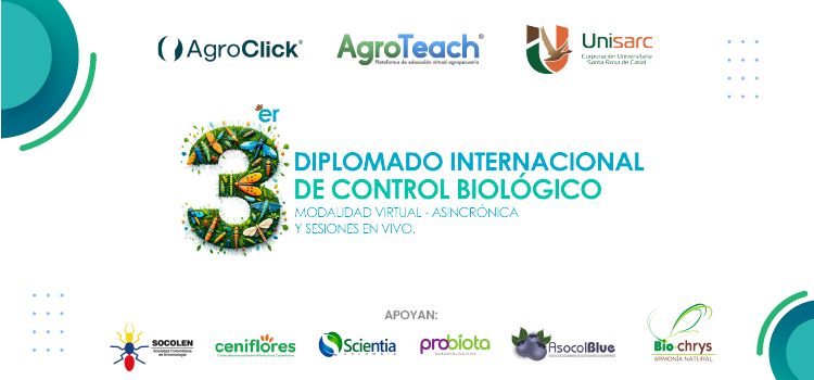 Manejo fitosanitario sostenible del cultivo de mora sin espina.