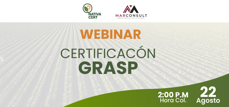Certificacion GRASP