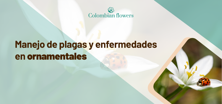 Titulo de tu webinar